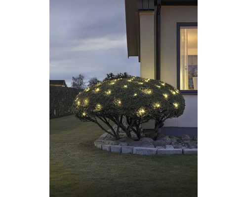 Vue de jardin avec buisson illuminé près d''une maison
