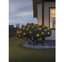 Arbuste éclairé dans le jardin avec une lumière blanche chaude