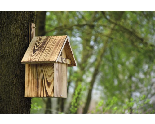Holz Vogelhaus an einem Baumstamm befestigt