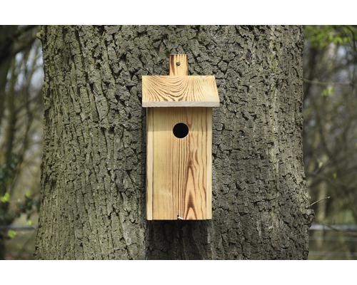 Vogelhaus aus Holz an einem Baum befestigt