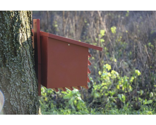 Un nichoir rouge est fixé à un arbre.