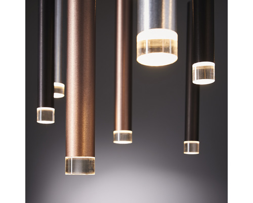 Mehrere hängende LED-Pendelleuchten aus Metall mit Acryldiffusor