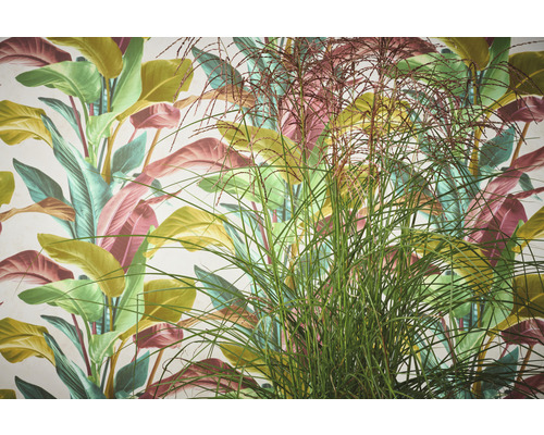 Dekorative Tapete mit tropischen Blattmotiven und Ziergras