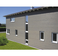 Hausfassade mit horizontaler Holzverkleidung und weißen Fensterrahmen