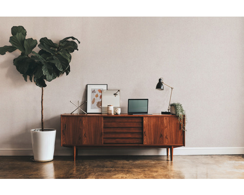 Salon avec commode, plante d''intérieur et objets décoratifs