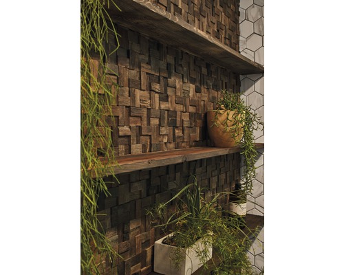 Décoration murale avec panneaux de bois et étagères décorées de plantes.