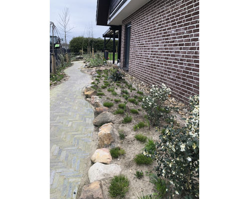 Gartenweg neben einem Haus mit Ziegelmauer und Bepflanzung
