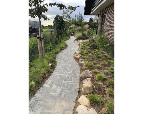 Gartenweg mit Steinpflaster und Bepflanzung