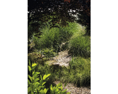 Üppiger Garten mit Ziergräsern und Natursteinen