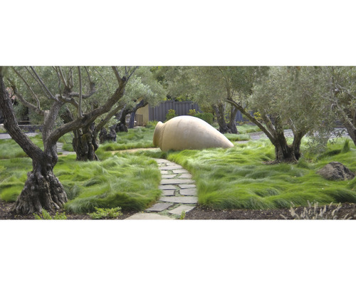 Gartenszene mit Olivenbäumen, Gras und großem Amphorengefäß