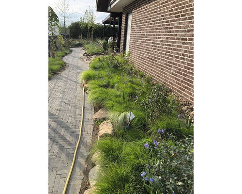 Garten mit Steinweg und Pflanzenbeet neben Backsteinmauer.