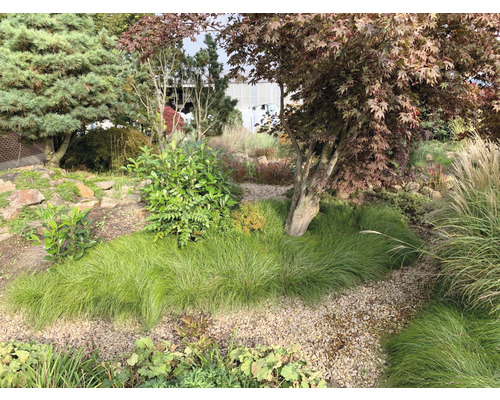 Gartenszene mit Bäumen, Büschen und Ziergräsern auf einem Kiesweg
