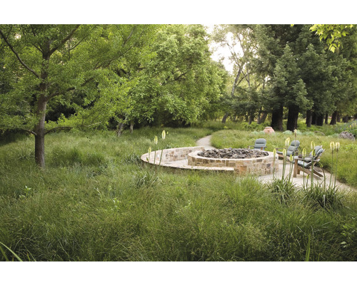 Scène de jardin avec foyer, coin salon en pierre et arbres