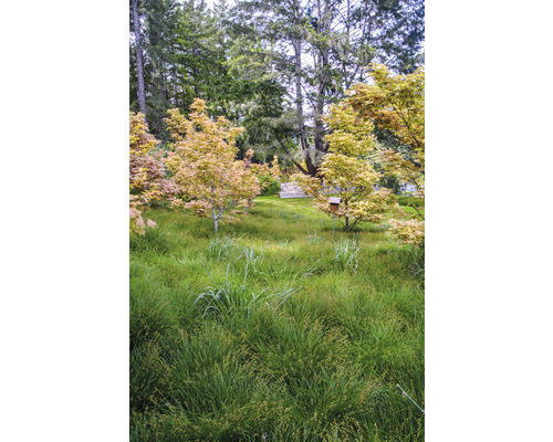 Paysage avec arbres, prairie et une cabane à oiseaux