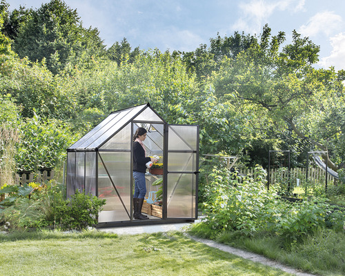 Serre avec porte ouverte et une personne soignant une plante, dans le jardin