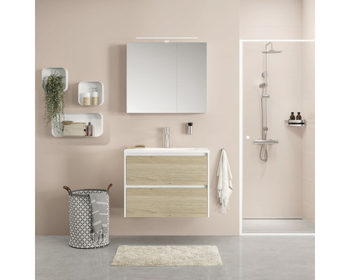 Salle de bain avec meuble-lavabo, armoire de toilette, douche et décoration