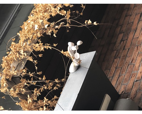 Girouette sur un bâtiment avec mur en briques et lierre