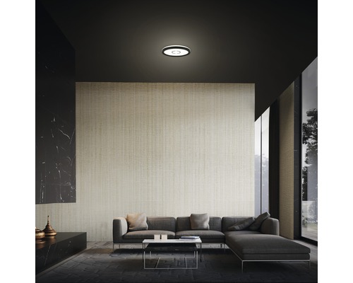 Helles Wohnzimmer mit Deckenleuchte über einer Couch