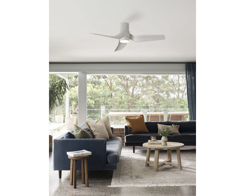 Salon avec ventilateur de plafond, canapés et tables basses