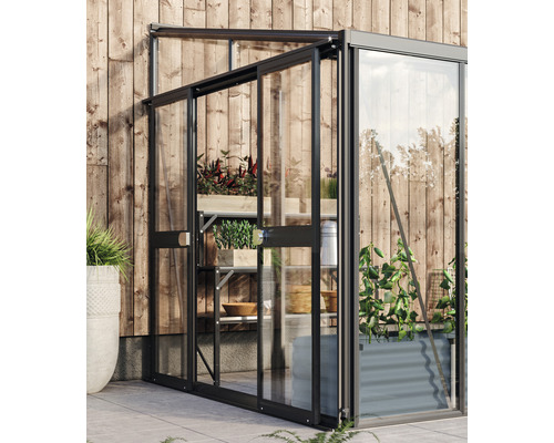 Serre avec étagères et plantes