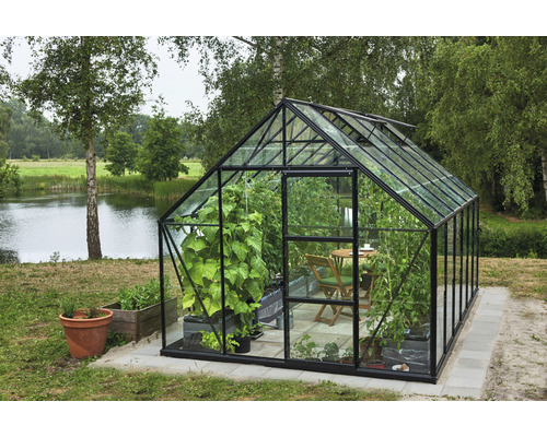 Serre avec plantes et mobilier de jardin dans le jardin