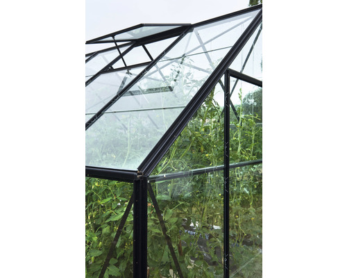 Vue détaillée d''une serre avec fenêtre ouverte et plantes à l''intérieur.