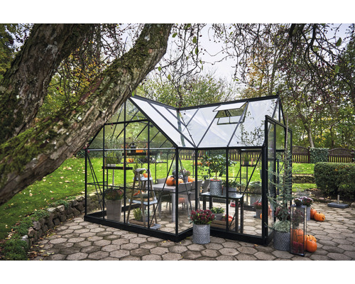 Serre de jardin avec plantes et décoration