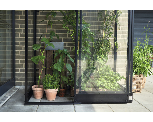 Gewächshaus mit Pflanzen in Töpfen und Kisten