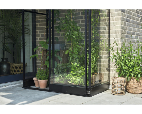 Gewächshaus mit Pflanzen im Garten