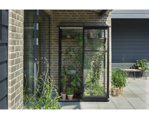 Gewächshaus mit Pflanzen auf einer Terrasse