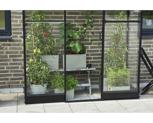 Gewächshaus mit Pflanzen in Töpfen