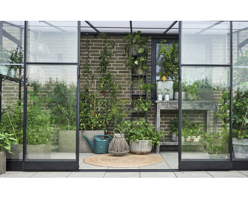 Serre avec plantes, arrosoir et décorations