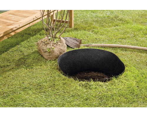Scène de jardin avec une plante en sac de jute, une rondelle de plantation et une pelle sur une pelouse.