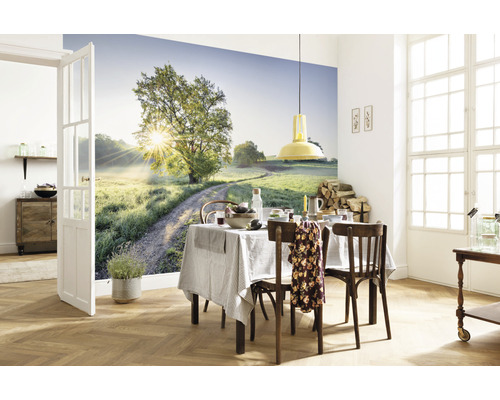 Pièce à vivre avec papier peint photo représentant un chemin de terre avec un arbre