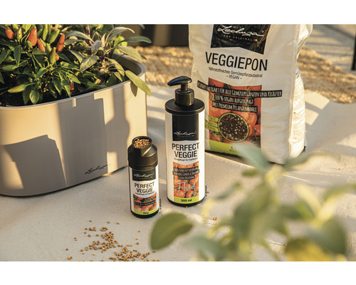 Lechuza Veggiepon substrat pour plantes, engrais Perfect Veggie et jardinière avec plantes
