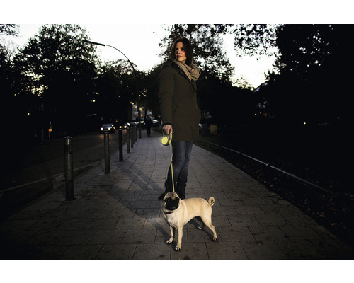 Une femme promène un carlin avec une laisse à enrouleur sur le trottoir.