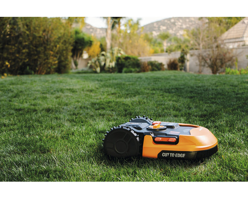 Robot tondeuse sur une pelouse dans le jardin.