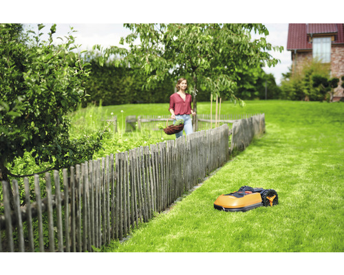 Robot tondeuse à gazon tondant la pelouse dans un jardin, femme à l''arrière-plan.