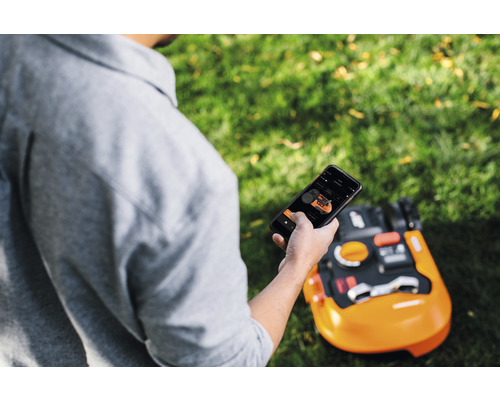 Eine Person bedient einen Rasenmähroboter mit einem Smartphone auf einer Rasenfläche.