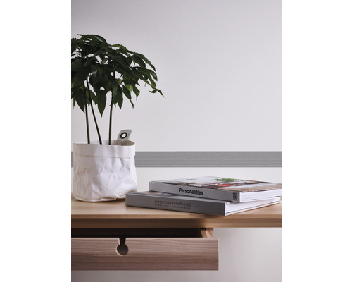 Dekoratives Zimmer mit Zimmerpflanze, zwei Büchern und einem Tisch