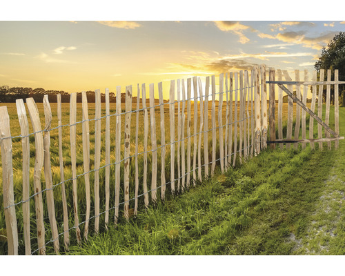 Clôture en bois avec portail dans un environnement rural