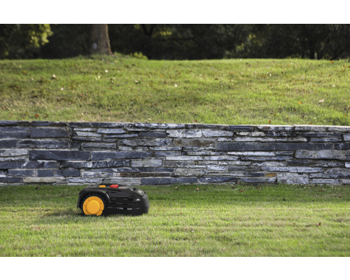 Tondeuse robot sur pelouse devant un mur de pierre