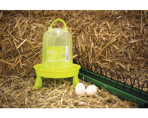 Kunststoff-Geflügeltränke mit zwei Eiern im Heu