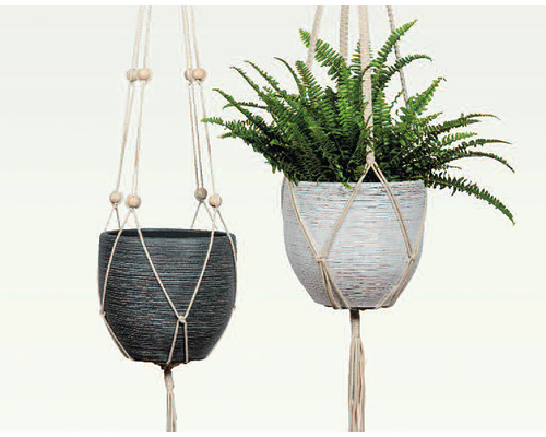 Zwei hängende Blumentöpfe mit Pflanzen in Makramee-Halterung