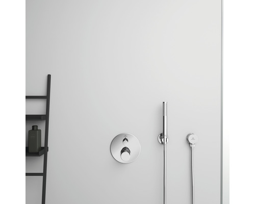 Robinet de douche apparent avec douchette à main et échelle de rangement dans la salle de bain