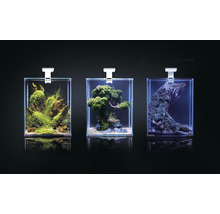 Aquarium Aquael Shrimp Set Day & Night 10 inkl. LED-Beleuchtung, Filter, Heizer, ohne Unterschrank schwarz 10 l-thumb-3