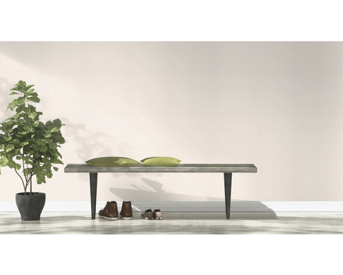 Helle Inneneinrichtung mit Bank, Kissen, Schuhen und Zimmerpflanze