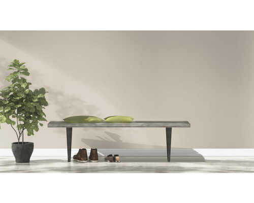 Helle Raumgestaltung mit Bank, Kissen, Topfpflanze und Schuhen.