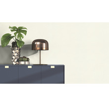 Scène décorative avec commode, lampe, vase avec plante et petit cactus