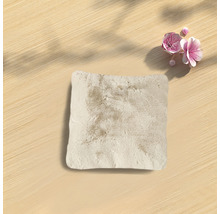 Coussin décoratif Romance beige 60 x 60 cm